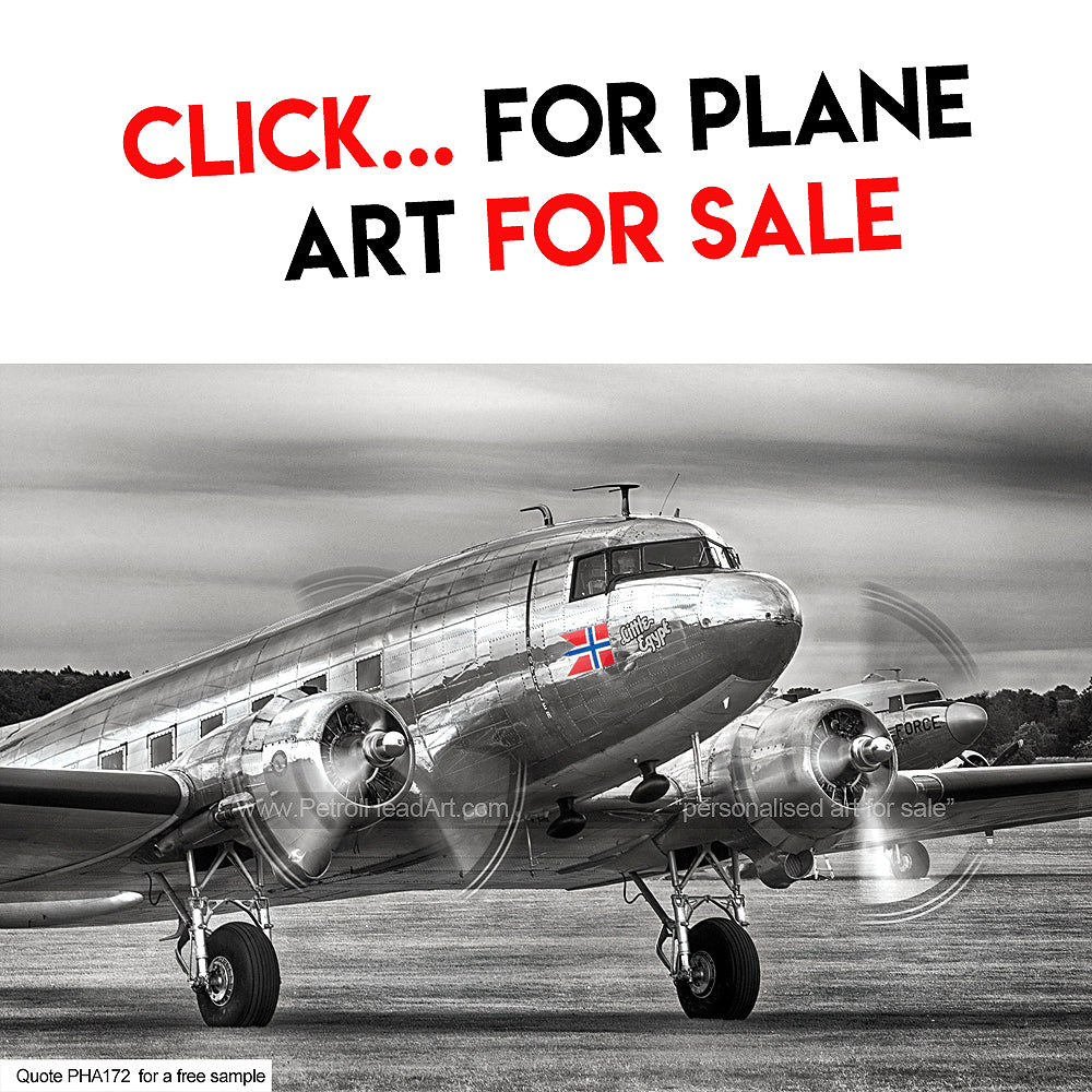 Plane Art for sale