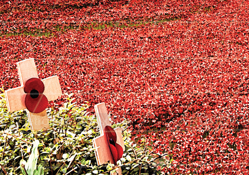 Poppy Greeting Card UK 3