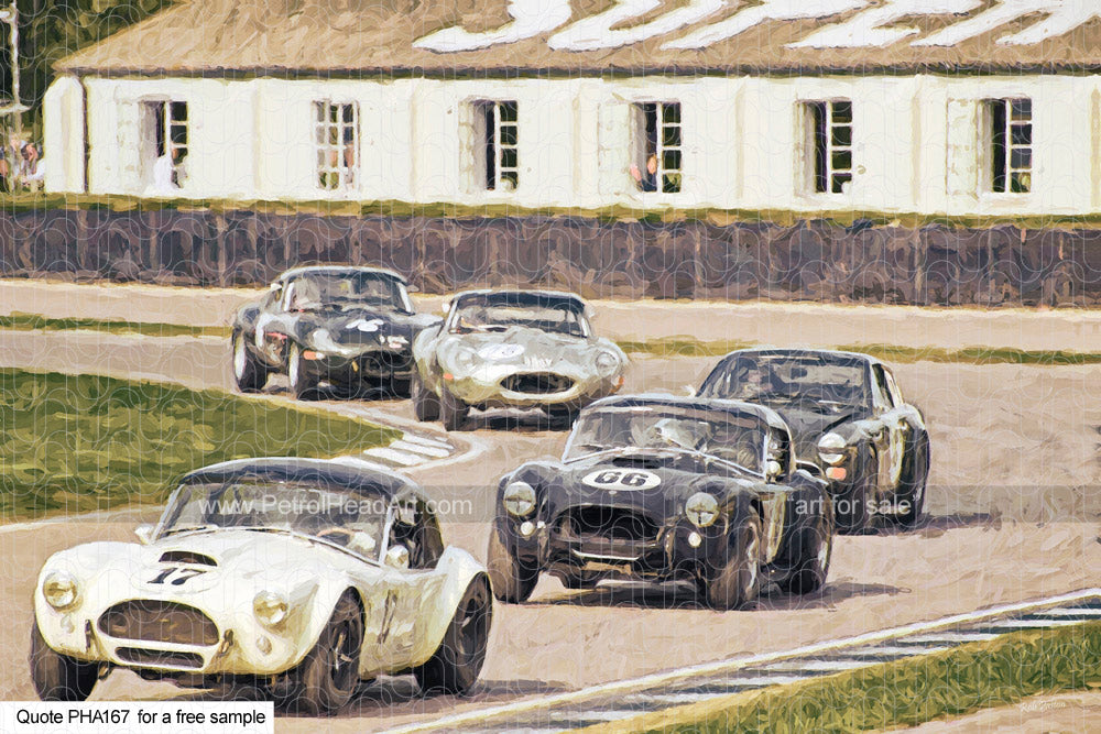 cobra racing art