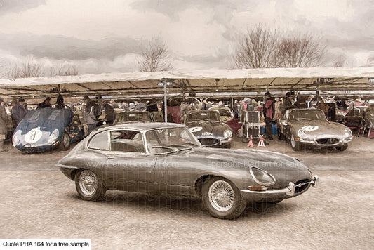 Jaguar EType Art at Goodwood