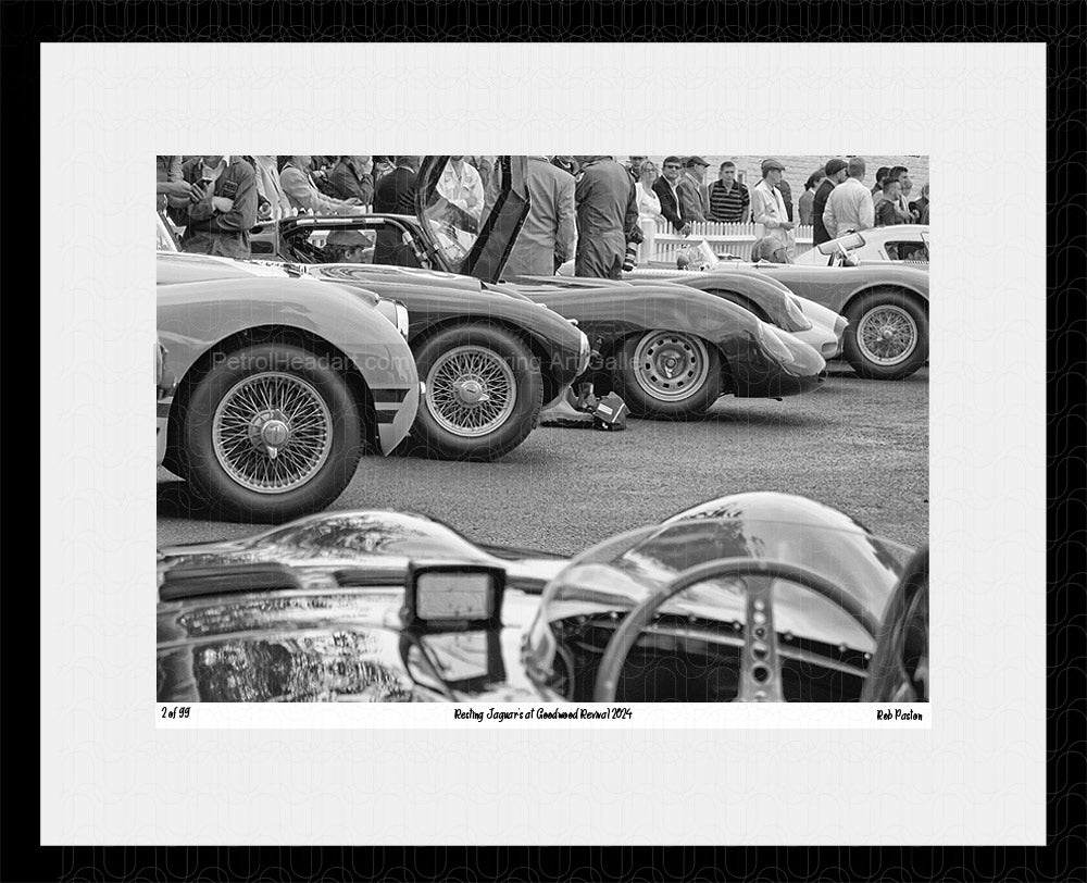 Goodwood Revival 2024 Jaguar C D Type 
Art