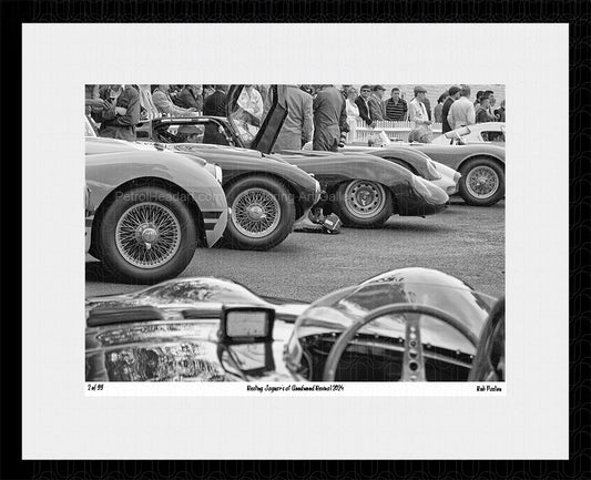 Goodwood Revival 2024 Jaguar C D Type 
Art