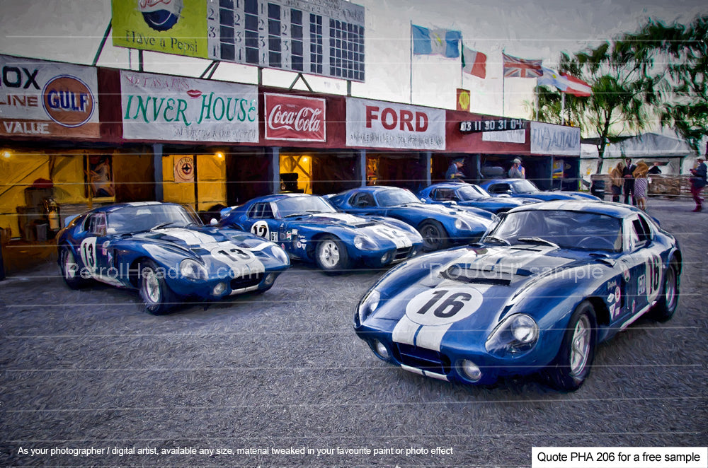 shelby daytona art goodwood