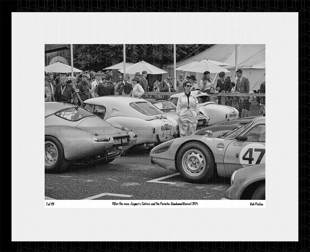Goodwood Revival 2024 E-Type Cobra and Porsche Art