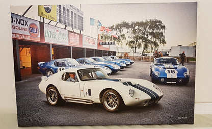Shelby Daytona backdrop for your Shelby Mustang AC Cobra GT40 personalised art