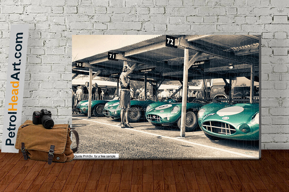 Aston Martin DBR1 Art For Sale