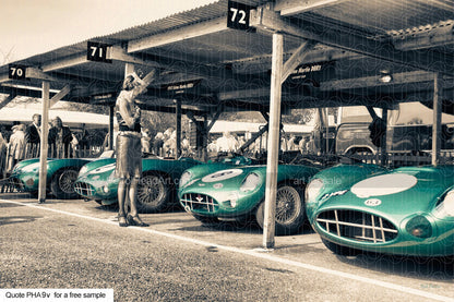 Aston Martin DBR1 Art For Sale