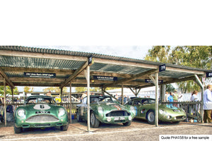 Aston Martin Art In The Pits Art For Sale