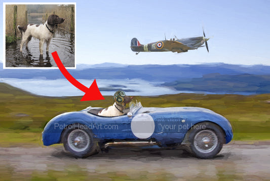 dog and car art