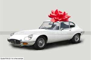 Motoring Gifts Jaguar E-Type Greetings Card